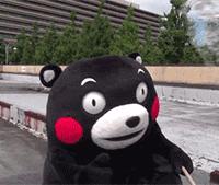 双十一你最值得拥有的东西,双十一套路太多还能买吗