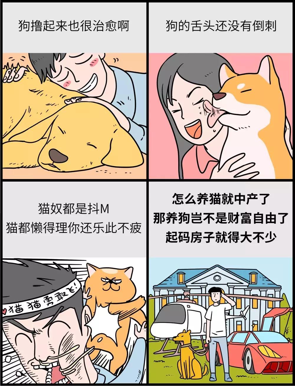 养狗和养猫的区别太真实了,养狗和养猫的五大区别