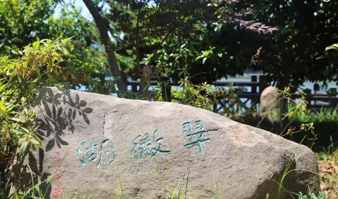 苏州大学文正学院专转本2020,苏州大学文正学院专转本人力资源