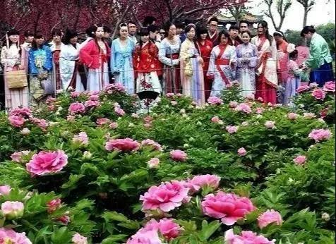 在大连去旅顺华酝牡丹园坐什么车,大连旅顺华酝牡丹园几月份适合去