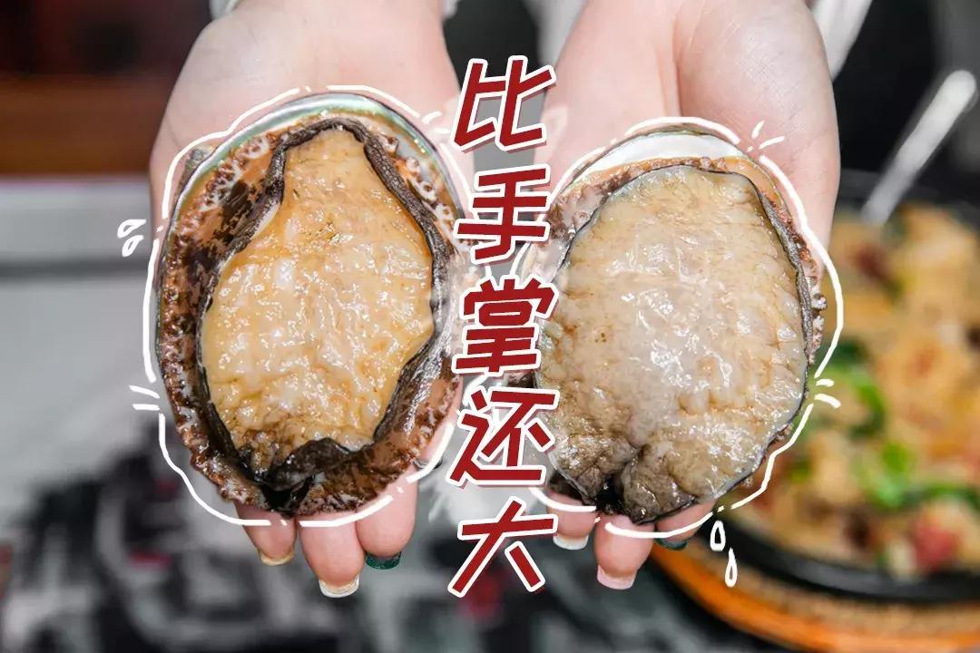 魔都惊现「2层楼小香港」，卖“蹦迪海鲜”！花胶鸡、6头鲍免费送