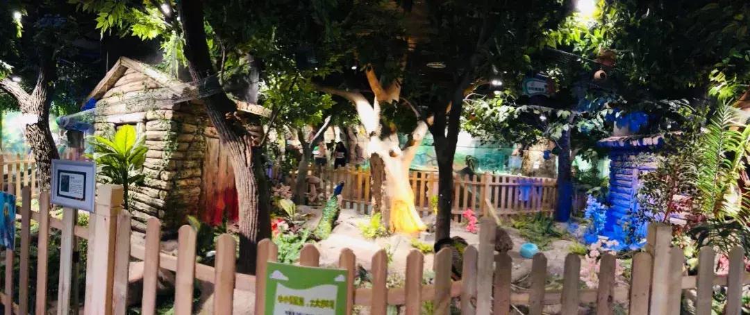 郑州奥林匹克公园萌宠乐园,郑州萌宠乐园长什么样子