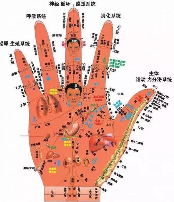 文玩核桃应该是先包浆还是先上色,文玩手串核桃怎么上色快包浆快