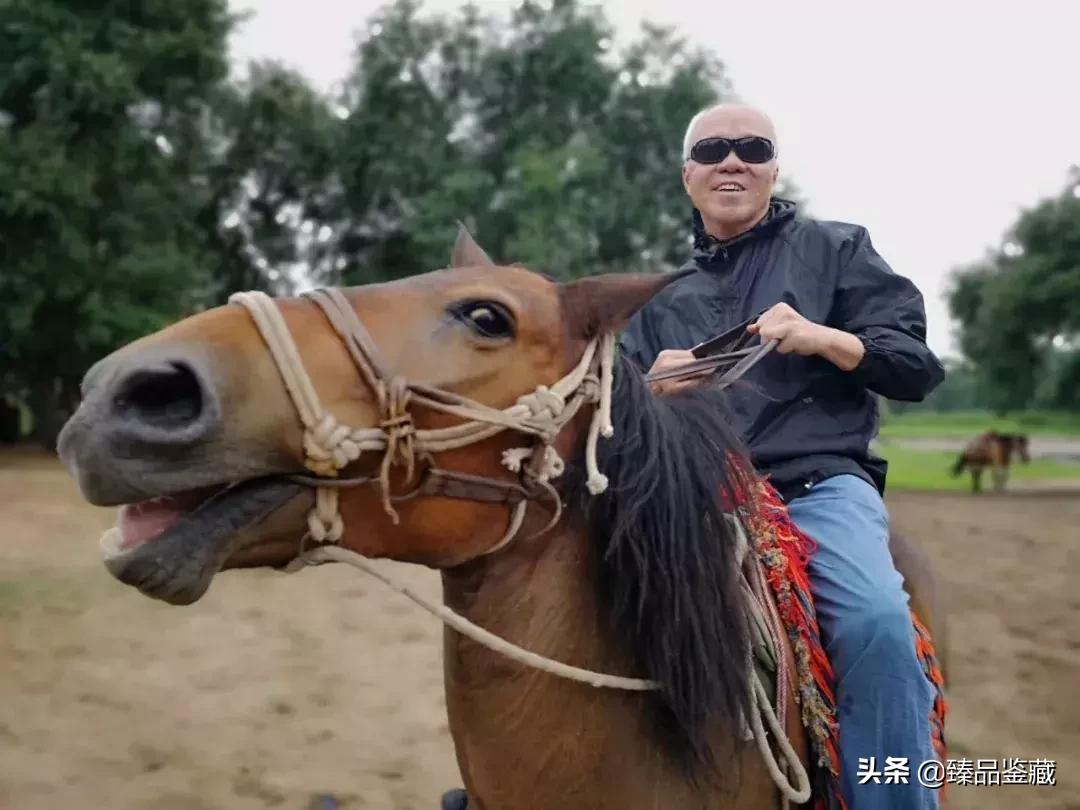 画家杨刚抖音,杨刚职业画家