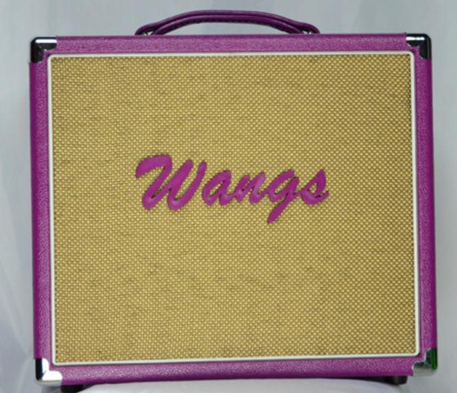 个人家用电吉他音箱多大瓦数的好,5000左右电吉他电子管音箱推荐