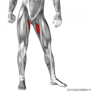 蛙泳的手脚技术动作和练习方法,蛙泳的腿部动作要领图解陆地