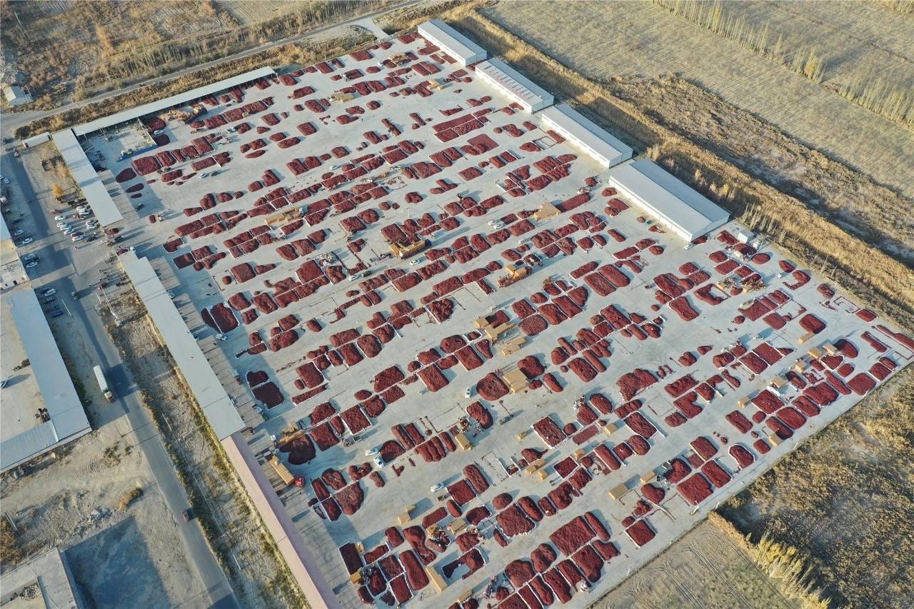 二师三十八团最新消息,二师三十八团图片