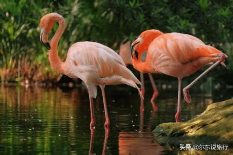 寒假亲子游最佳攻略,寒假国内亲子游攻略