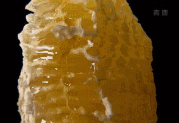 春雨蜂蜜面膜真实测评,春雨蜂蜜面膜用法及功效