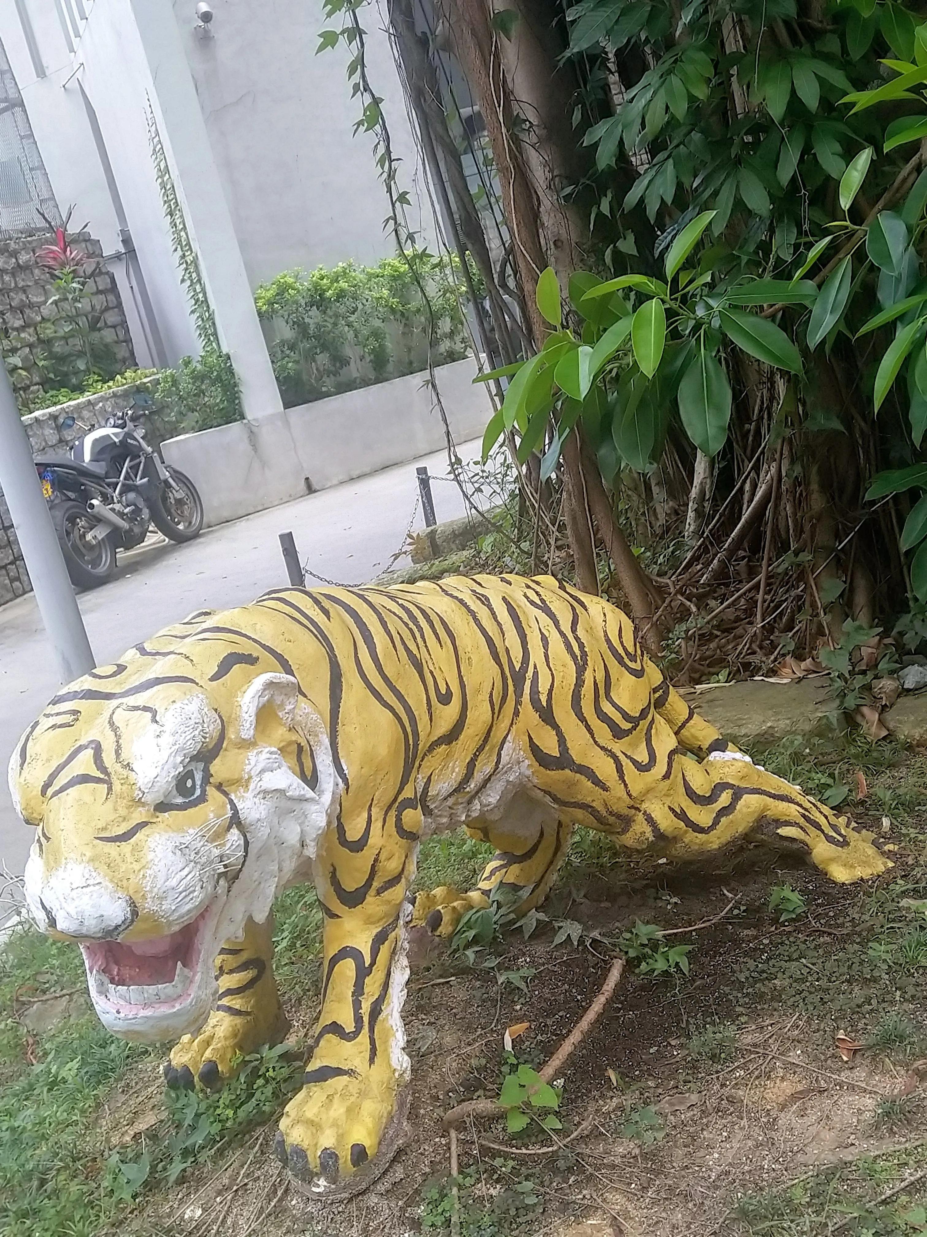 港岛虎豹别墅,香港虎豹别墅全景图