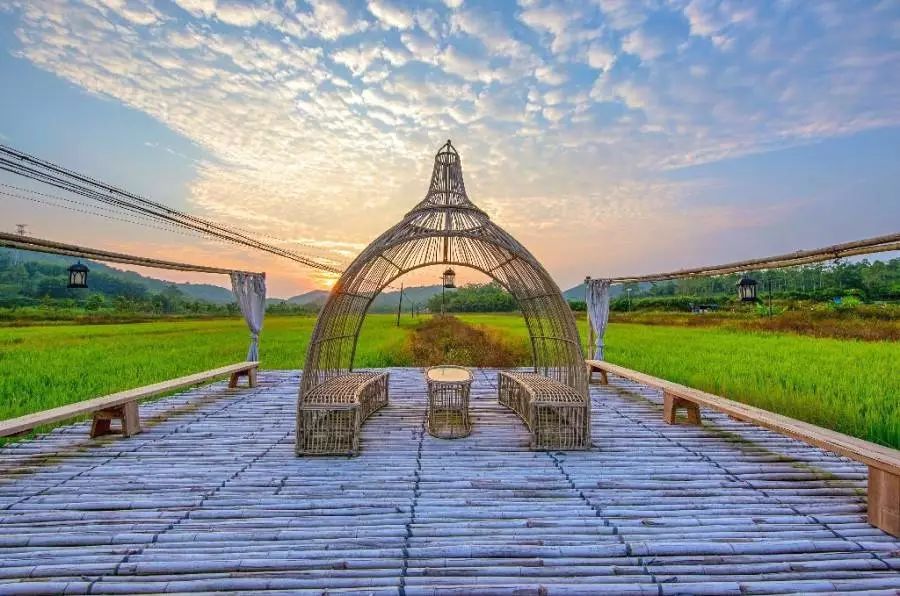 藏于稻田竹海中的增城轻奢民宿,广州增城中新镇三天两夜民宿推荐