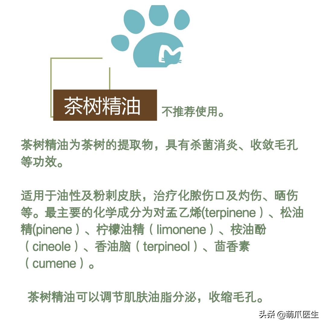 猫咪下巴长了黑头？千万别去抠，那是猫咪患上了毛囊炎的症状