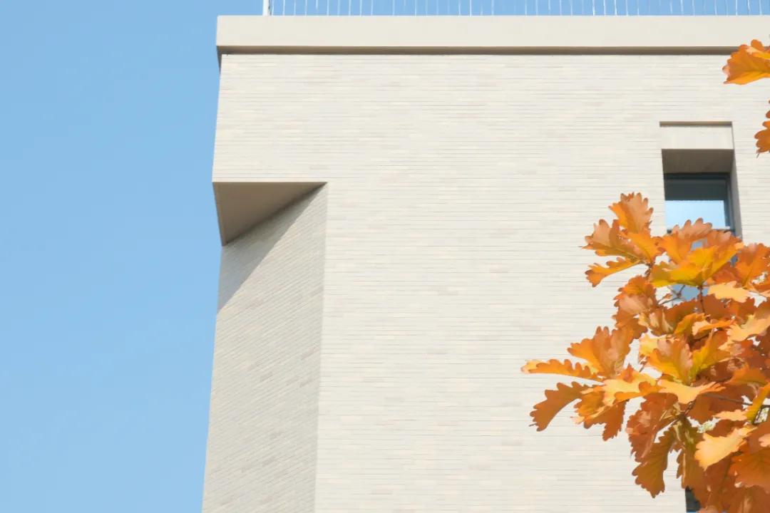 醉美大工秋|读书不觉已秋深，____________