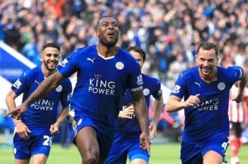 蓝狐还能再崛起吗,蓝狐当了老大