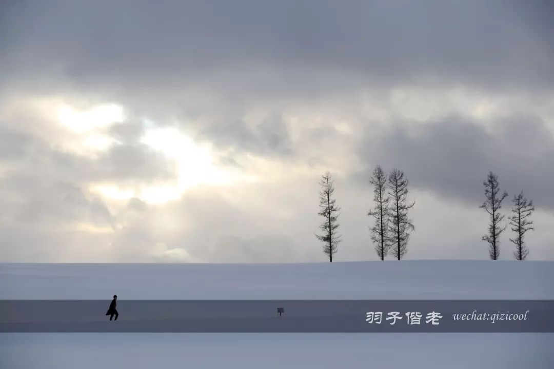 老实说，这一趟北海道就是为了拍好看的照片去的