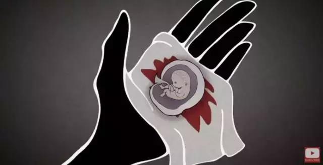 丁嘉丽明星的故事,丁嘉丽央视