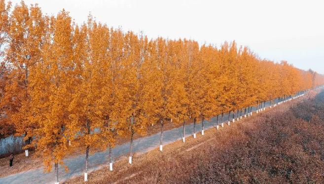 这届丰县人，的确没什么好“骄傲”的