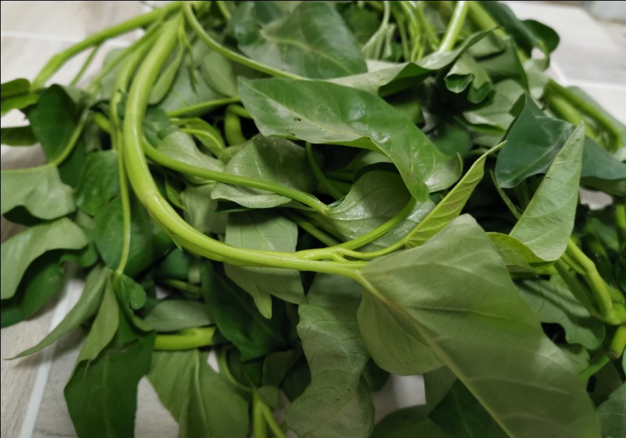 酸辣空心菜梗和酸豆角做法,四川空心菜酸豆角肉末怎么炒好吃