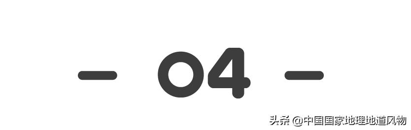 中国奥运冠军最多的是哪个城市,盛产奥运冠军的浙体院