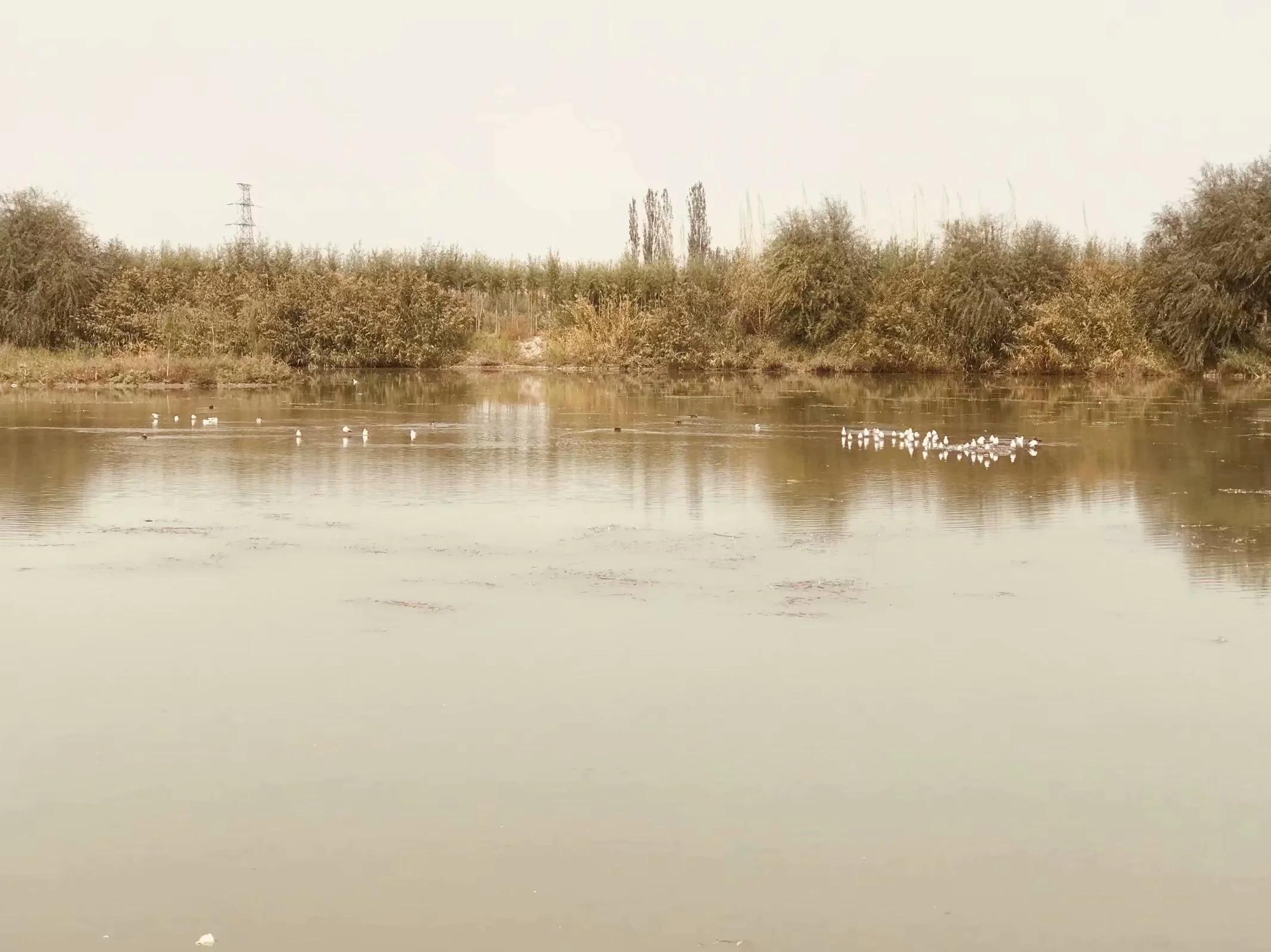 新疆南疆6天旅游攻略完整版,从库车出发新疆旅游攻略