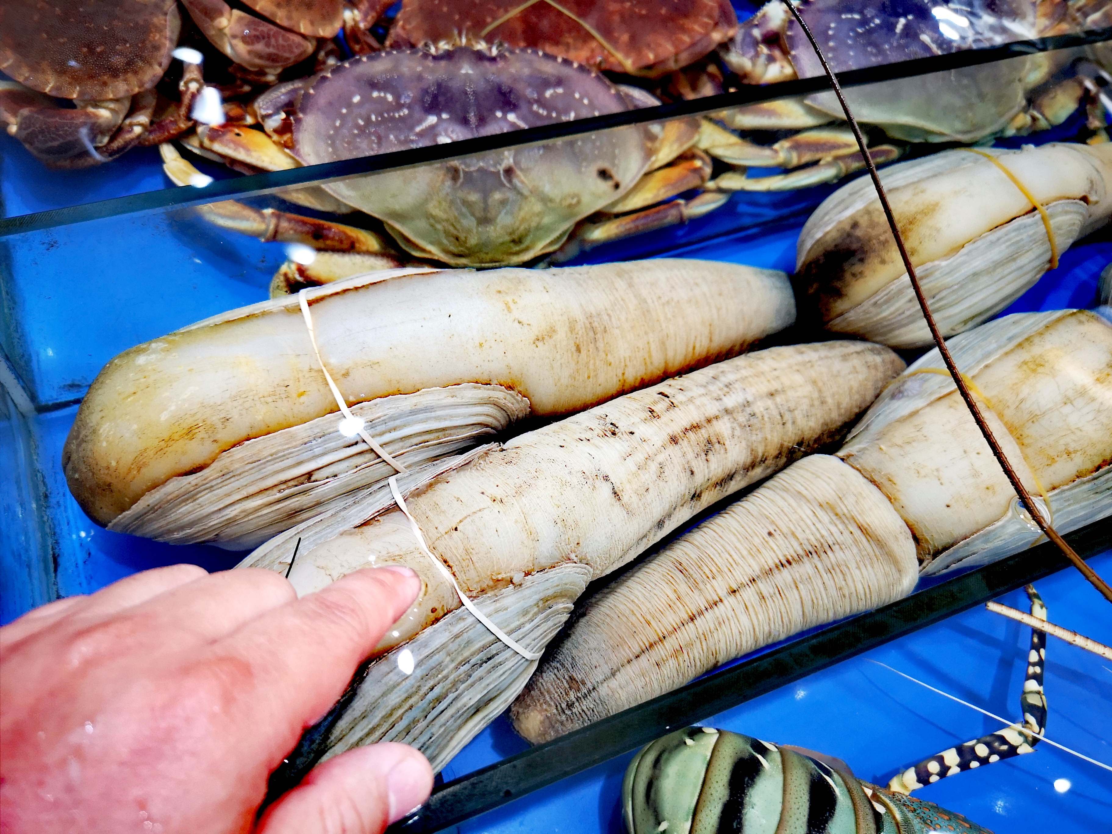 雨天东兴万尾金滩游,冬季东兴万尾金滩