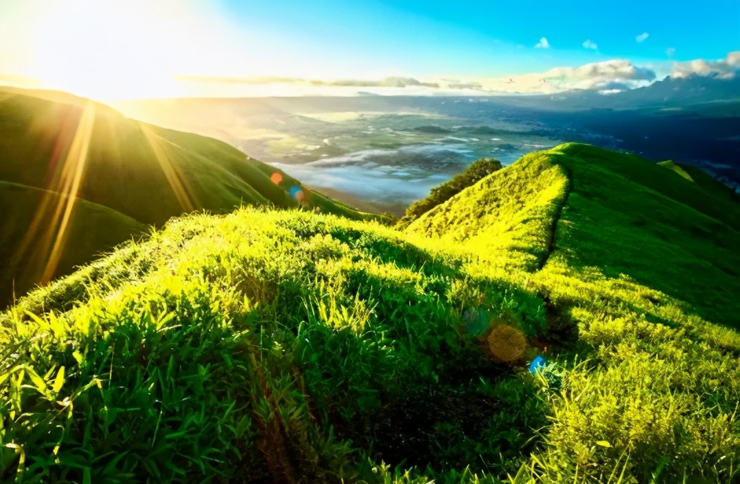 玩转日本东京大阪奈良,日本关东自由行旅行攻略