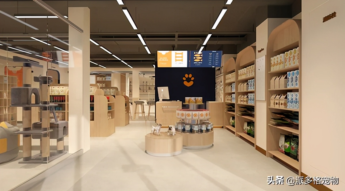 珠海斗门派多格宠物,派多格宠物珠海综合体