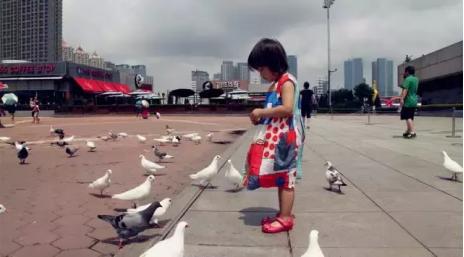 五一旅行行李攻略,五一三日游攻略及住宿