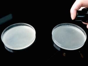 夏天治脚臭最好的方法,除脚臭好物推荐瞬间除臭