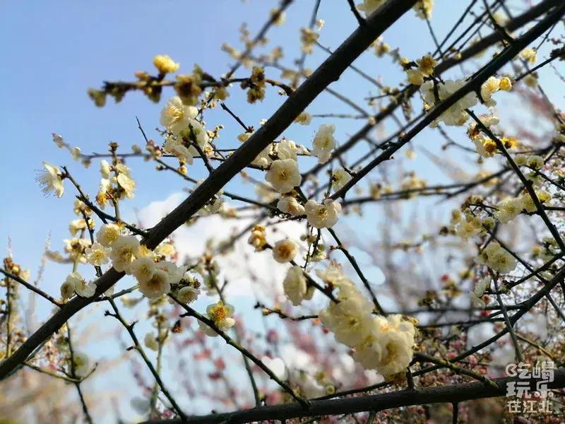 在大厂工作是种什么体验,生活在大厂是种什么样的体验