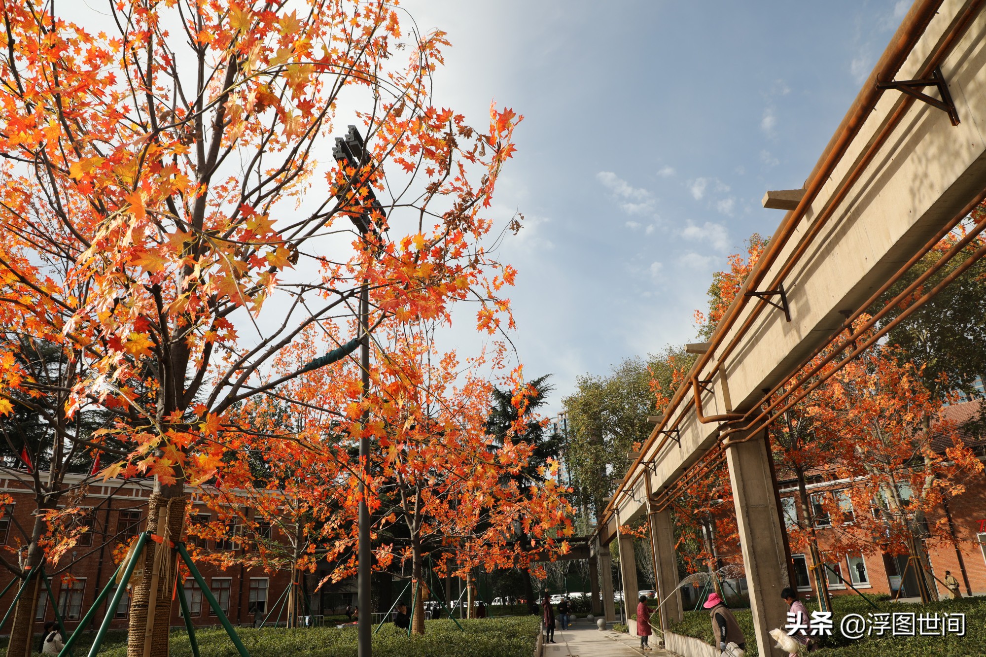 植物假树叶,人造树叶诞生