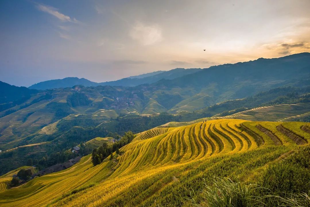 广西旅游景区向全国医护人员免费,疫情医护人员景区免费