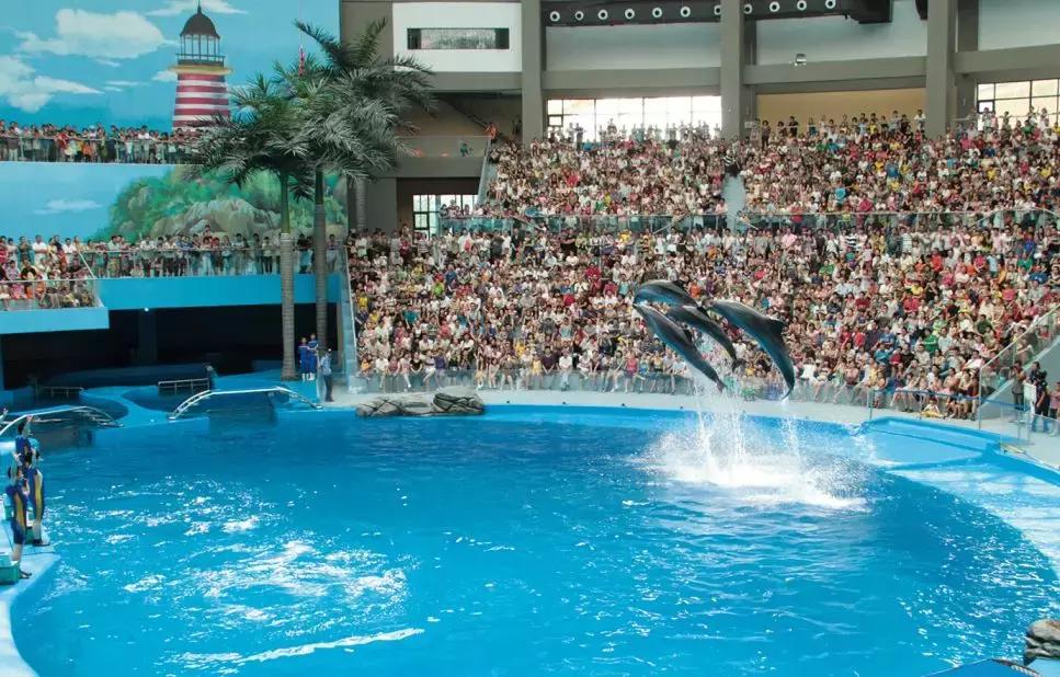 2021华阳网红打卡地,华阳周边打卡