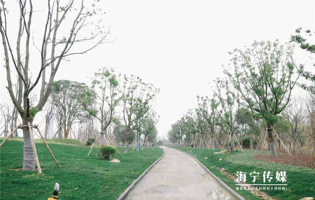 海宁大型公园,海宁新增公园地址