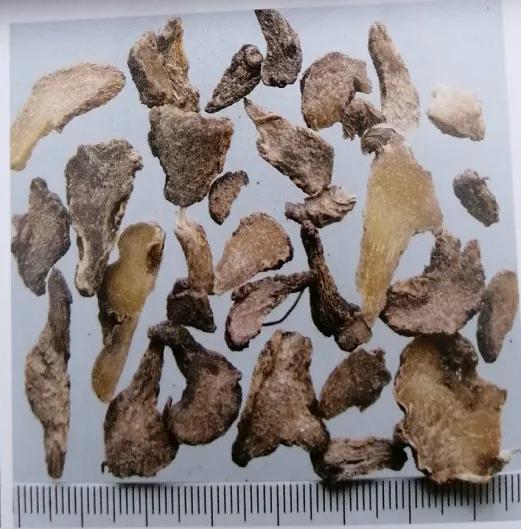 止血收敛的药有哪些,收敛止血中成药有哪些