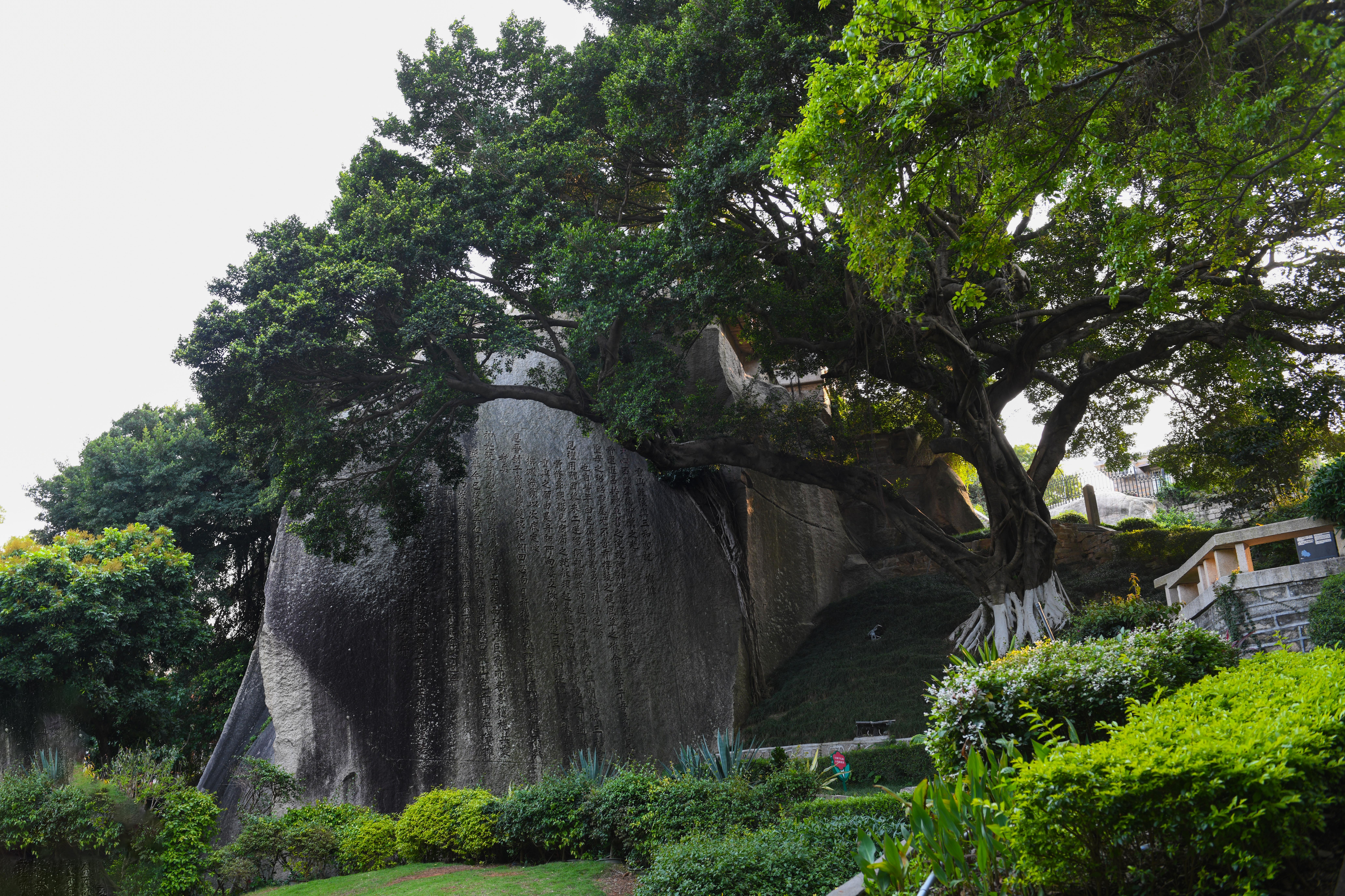厦门鼓浪屿免费,厦门景点半价政策最新规定