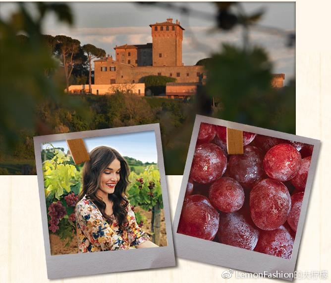 bottegaverde护肤品,bottegaveneta上海佛罗伦萨