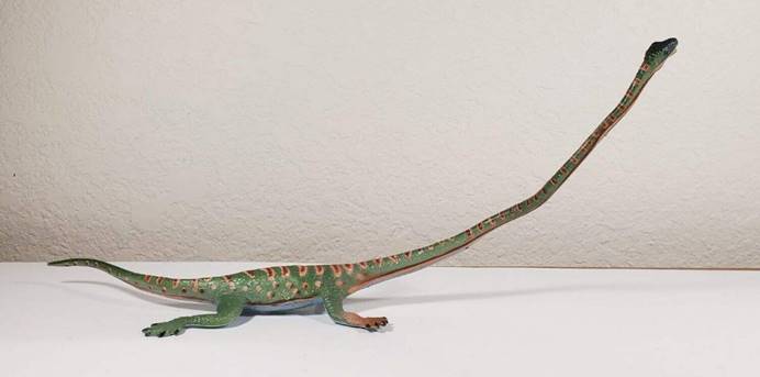 长颈龙为什么脖子那么长,长颈龙的演化过程