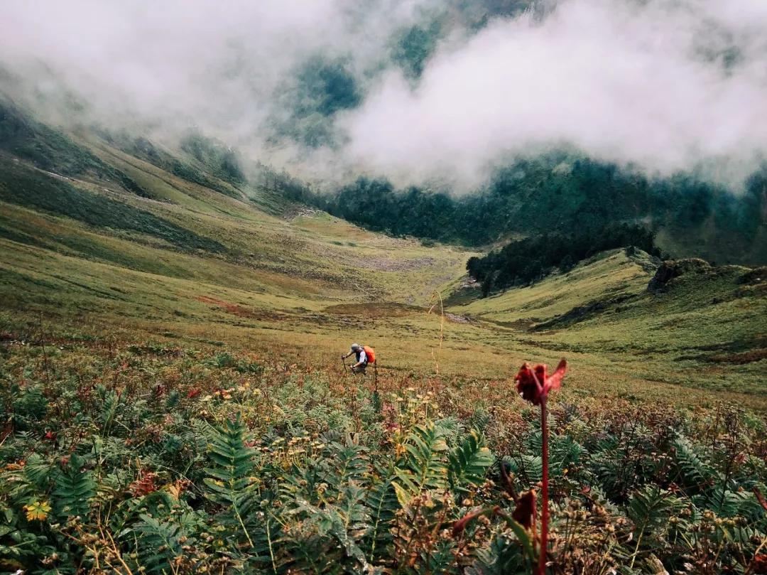 云南淡季旅游线路推荐,云南春季旅行推荐
