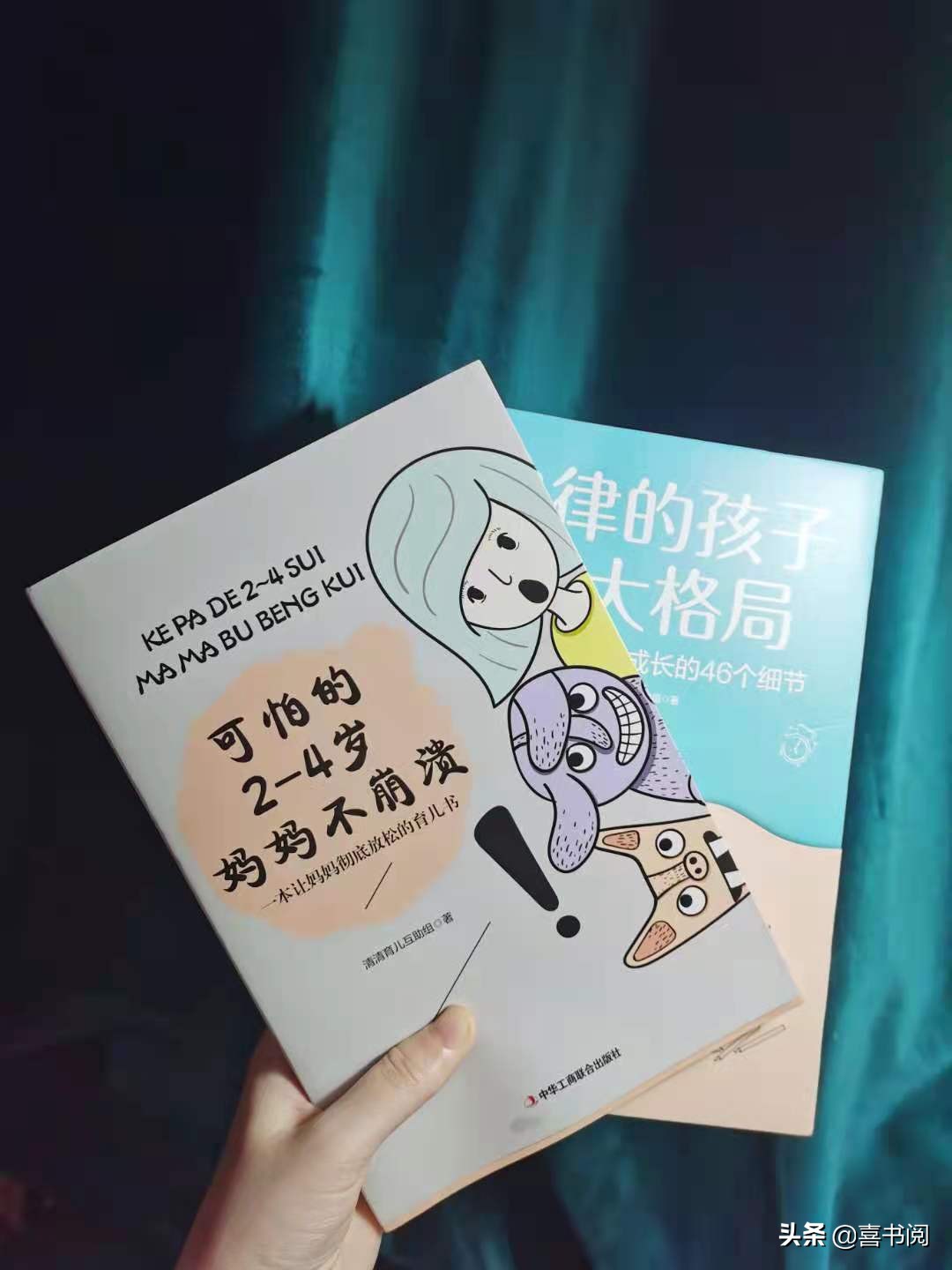 可怕的2-4岁妈妈,新手妈妈必看的育儿书