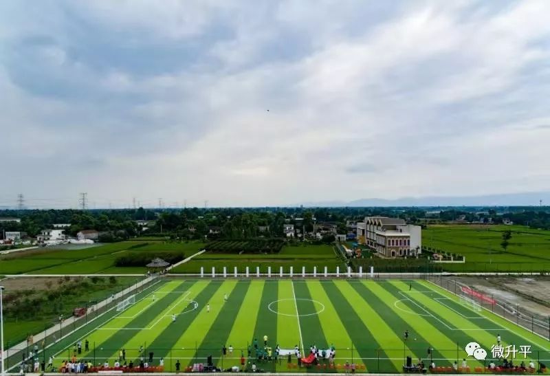 建在沙漠里的足球场,天然草坪足球场在哪里