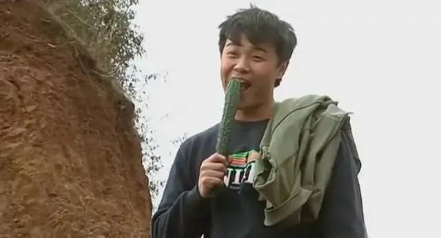 十大潜伏电视剧前十名,十部熬夜必看经典剧潜伏