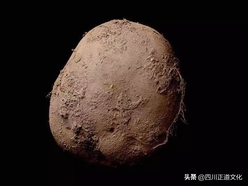 中国人的欲望之火和生命之光，除了酒还有这种蔬菜！