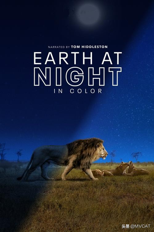 500部自然纪录片,最好看的自然纪录片