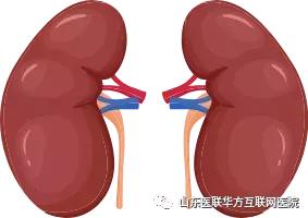 治疗肾衰的中成药有哪些,肾衰有特效药