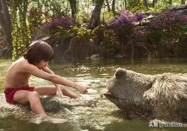 dk知识大百科全套,dk知识大百科书金银版