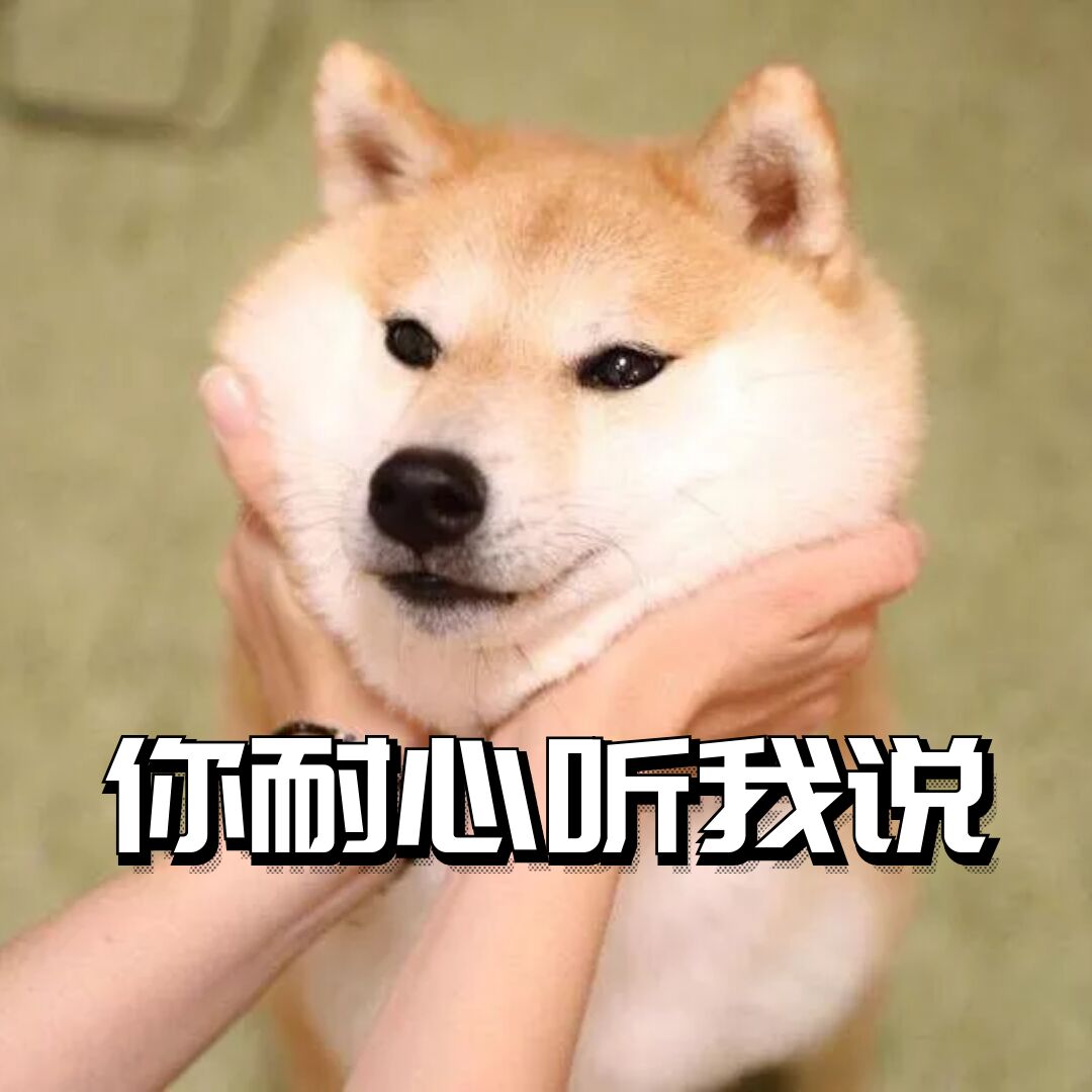 英国留学生考试抄袭被开除没毕业该何去何从