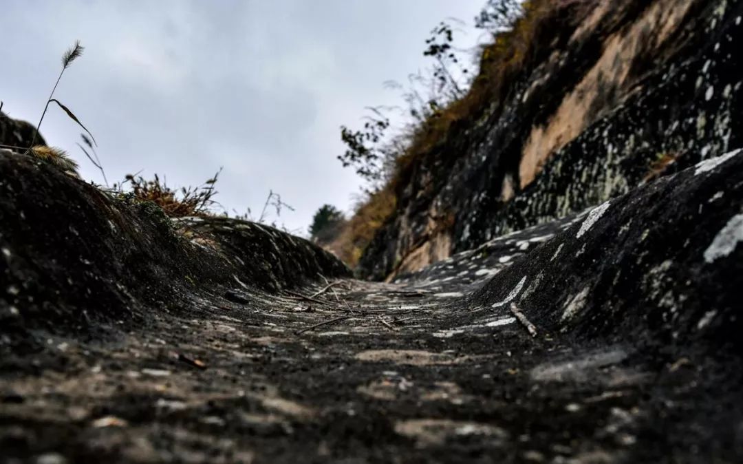 赞美庆阳的美景,庆阳的美