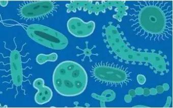 母婴健康包括哪些方面,母婴健康与疾病