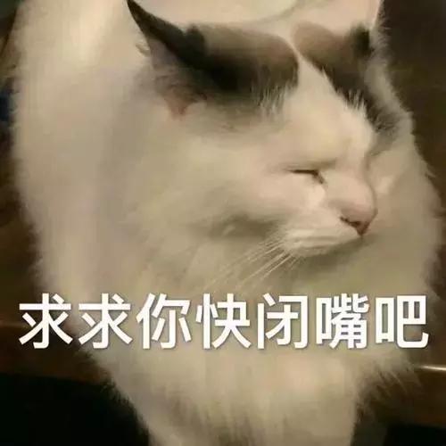 5000以上的自动猫砂盆,给猫买好多碗